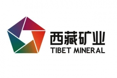 1000多家锂电池产业链企业分析-西藏矿业：盐湖+碳酸锂+氢氧化锂