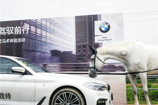 BMW 5系英式马术体验
