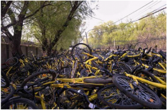 ofo小黄车，你到底什么时候还钱！