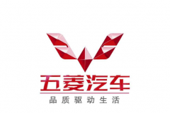 真没必要看五菱面包车了！这车比宏光便宜，还能拉人载货和漂移