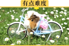 我为什么不学手动挡