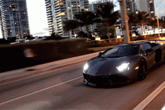 全球7大动物车标，我只见过5个，你见过几个？