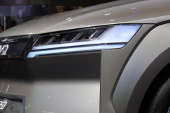 比亚迪全新车标亮相！新SUV还带鸥翼门，命名为“燕”或“夏”