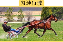 车上的定速巡航到底怎么用