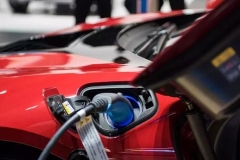 如果电动车是风口 恒大会是长出翅膀的猪吗？