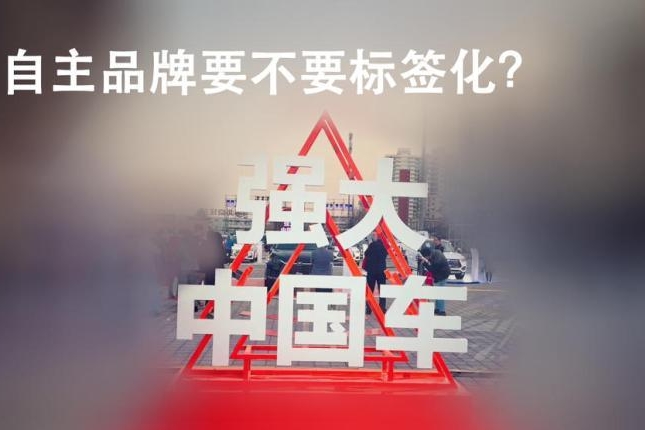 “引领者”，“领导者”？自主汽车品牌需不需要标签？