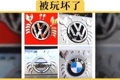 国产车厂商为何热衷换车标