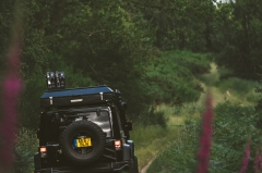 清明出行要注意啥？看这一篇就够了！