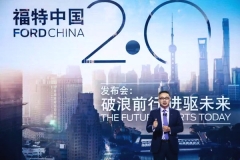 陈安宁为福特开出药方