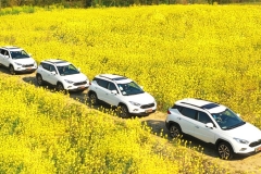 江淮瑞风S4与万里花海有场浪漫约会