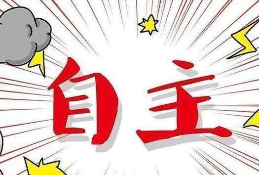 国产车和合资车哪个好？自主车企有哪些值得合资车企学习的地方？