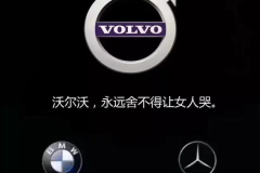 奔驰女车主坐发动机盖上哭，各车企神助攻护女车主不哭！