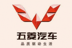 比五菱还大还便宜的MPV，拉人载货两不误，网友只怪名字取错了