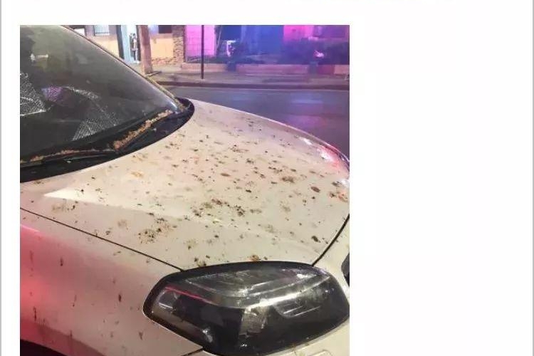 一夜之间，车子变成这幅鬼样子！萧山车主早起一看，被恶心到了