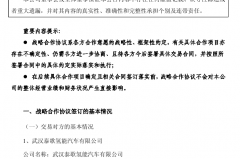 力帆汽车进军氢动力 前景不明仍遭资金爆炒