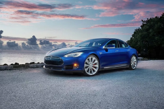 电动汽车现在是真火，得降火！