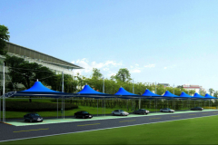 新手司机不会停车怎么办？老司机总结了这几条经验，太实用了！