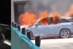 电动车“火”大了，追求高密度与高续航，或是安全事故的罪魁祸首