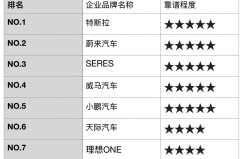 最具潜力的新能源车企排行榜 SERES实力不容小觑！