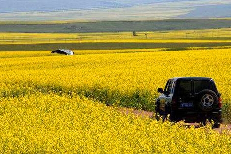 五一自驾出行不能牢记这些知识点 将面临高额罚款并扣分