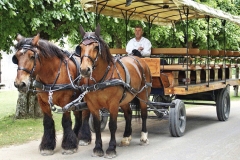 1马力是1匹马的拉力吗