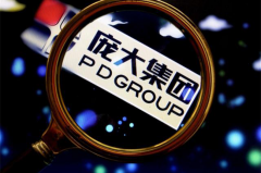 上交所33问质询后再出重拳 细数庞大集团“三宗罪”