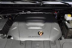 被低估的国产硬派SUV，2.0T唯一搭载采埃孚8AT