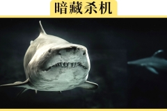 汽车落水后为什么人逃不出来