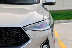 特斯拉打进来，长城汽车打出去，你真的理解了全球化吗？