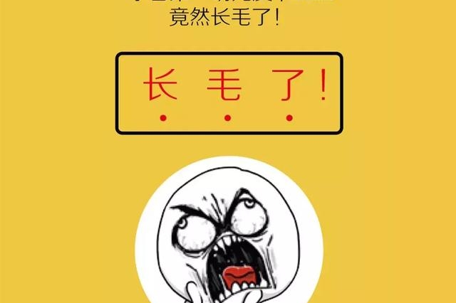 开着它和皮卡丘去冒险，再也不担心挤爆可达鸭