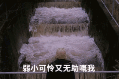 暴雨过后，泡水车都去哪了？为什么我们平时见不到几辆？