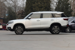 又一台国产路虎SUV，210扭矩+150马力，仅8万会火吗？