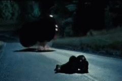 以120km时速翻滚车身不变形，这辆SUV是如何做到的？