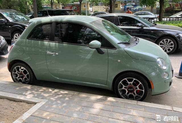 不多见的小可爱