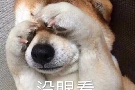 你觉得长得最丑的车是_______？ ​