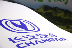 至暗时刻，历数长安发展三十载，为何总是渡人不渡己？（连载一）