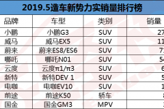 5月新势力实销量榜单，冰火两重天的煎熬，谁将坚持笑到最后？