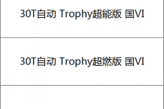 这些配置符合你的预期么？2019款名爵HS 30T将7月上市