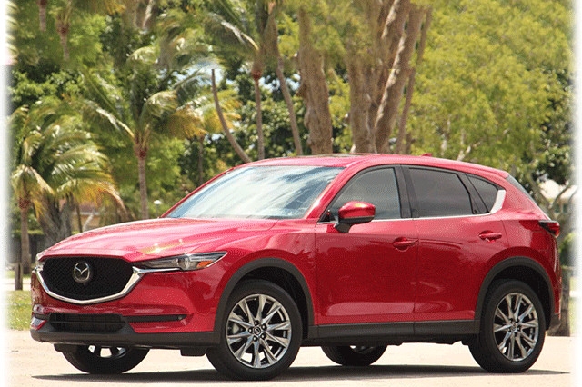 价格便宜空间大，这款SUV后排可以放倒当床用！