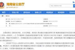 海南响应号召 新能源指标不排队非琼籍无驾照均可申请