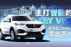 主打智能的新VV6 能否让妈妈笑出声？| 反套路试车