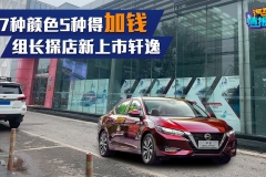 7种颜色5种得加钱 组长探店新上市轩逸