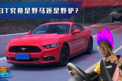 堪称夜店撩妹神器，造型吸引力不比法拉利差，声浪动力不输保时捷