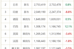 上半年十大海外车市销量：唯巴西向好 美国印度也遇冷