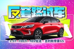 10万出头买L2！草原试驾新帝豪GS | 反套路试车