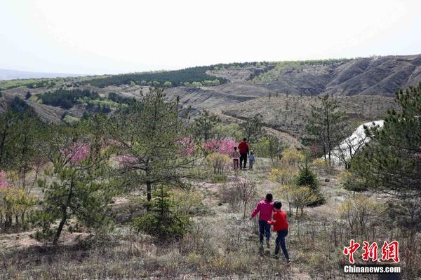 山西阳高大泉山绿化工程成效显著