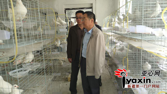 库车:伴飞畜禽农民专业合作社助力农民增收