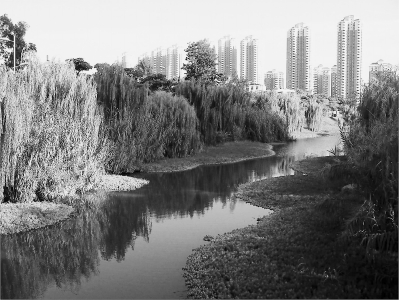 兼作排洪渠的湿地廊道