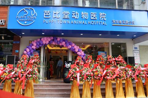 芭比堂动物医院深圳春风路分院开业在即
