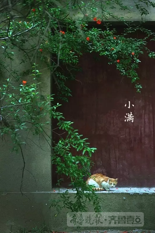 晴日暖风生麦气